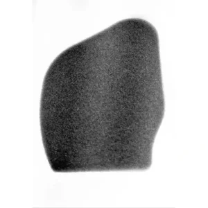 Air Filter For Wego oe product image