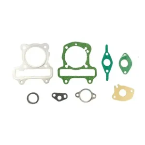 Gasket Kit half For Destini product image