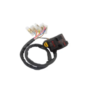 Combination Switch For Hero Passion lh product image