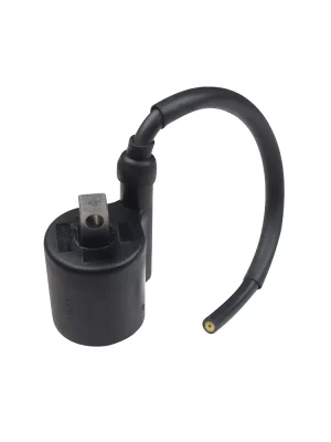 Ignition Coil For Hero Karizma product image