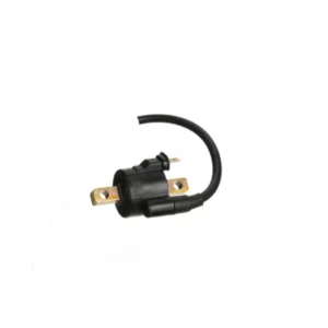 Ignition Coil Hero Maestro product image