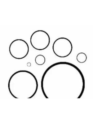 M1080640-400x400 O ring 19Ã 2 4 M1080640 Tvs Apache Rtr 160 product image