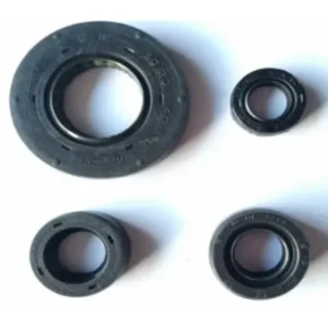 Oil Seal Kit Apache M7321580 Tvs Apache Rtr 160 product image