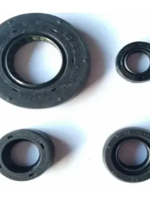 M7321580-400x400 Oil Seal Kit Apache M7321580 Tvs Apache Rtr 160 product image