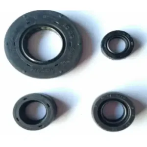 Oil Seal Crankshaft R N2200550 Tvs Victor Gx 100 product image