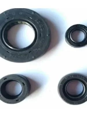 N2200550-400x400 Oil Seal Crankshaft R N2200550 Tvs Victor Gx 100 product image