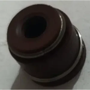 Oilseal Valve Stem N3012050 Tvs Victor Gx 100 product image