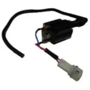 Ignition Coil Assembly N3060370 Tvs Victor Gx 100 product image