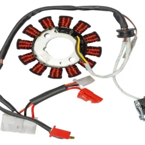 Stator Assembly N5321830 Tvs Phoniex 125 product image