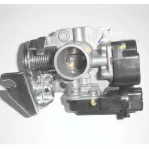 Body Throttle Assembly N6040960 Tvs Raider 125 product image