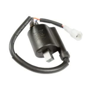Ignition Coil Assembly N6060340 Tvs Raider 125 product image