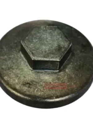 N6080040-400x400 Plug Oil Drain N6080040 Tvs Raider 125 product image