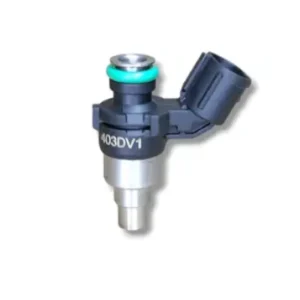 Hose Iniector Assembly N6140850 Tvs Raider 125 product image