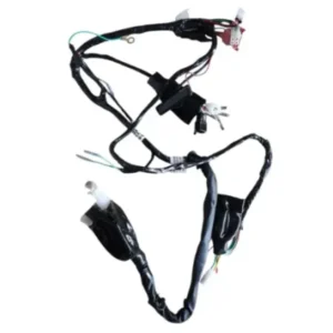 Wiring Harness Assembly N6160640 Tvs Raider 125 product image