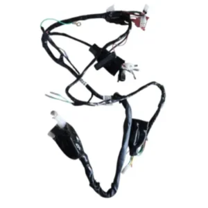 Wiring Harness Efi N6161170 Tvs Raider 125 product image
