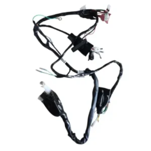Wiring Harness Efi 2 N6161680 Tvs Raider 125 product image