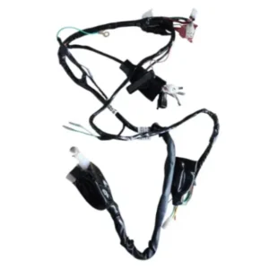 Wiring Harness 2 N6161800 Tvs Raider 125 product image