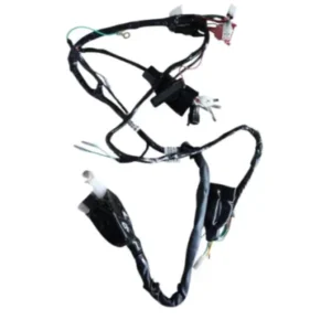 Wiring Harness Efi 3 N6161820 Tvs Raider 125 product image