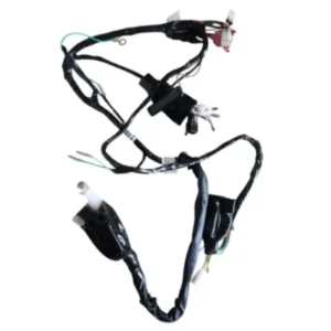 Wiring Harness Assembly N6161940 Tvs Raider 125 product image