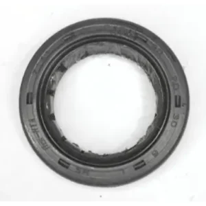 Oilseal 30 20 6 N6200010 Tvs Raider 125 product image