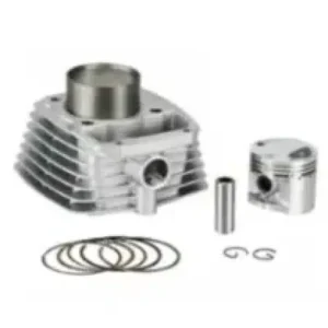 Kit Cylinder Block Piston Raider N6321880 Tvs Raider 125 product image