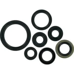 Kit Engine Oilseal N8324120 Tvs Star City 100 product image