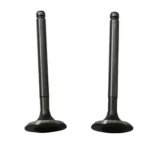 Kit Valve Inl Exh star vic c N8325230 Tvs Star City 100 product image