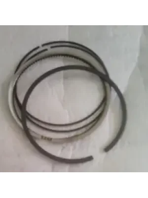 N9020150-400x400 Ring Set Std Rtr180 N9020150 Tvs Apache Rtr 4v 160 product image