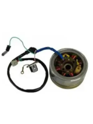 Magneto Assembly N112 Fi N9060690 Tvs Apache Rtr 4v 160 product image