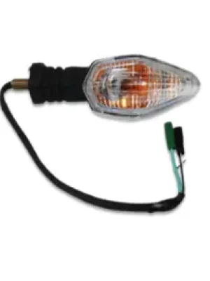 Turn Signal Lamp Assembly Rear R N9225770 Tvs Apache Rtr 4v 160 product image