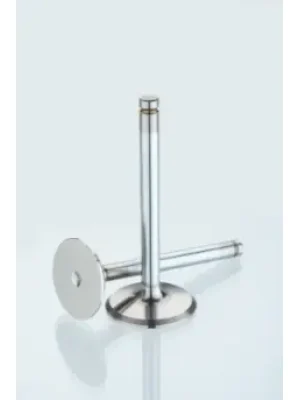 Kit Valve Inl Exh Apa150 ef N9323800 Tvs Apache Rtr 160 product image