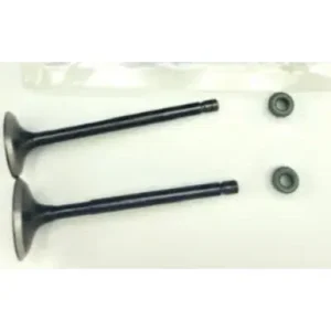 Kit Valve Inl Exh Apa 160 N9323810 Tvs Apache Rtr 160 product image