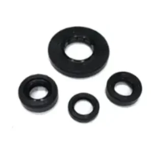 Kit Engine Oilseal N9325440 Tvs Apache Rtr 4v 160 product image