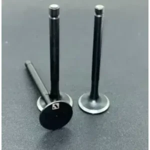 Kit Engine Valve N9325820 Tvs Apache Rtr 4v 160 product image