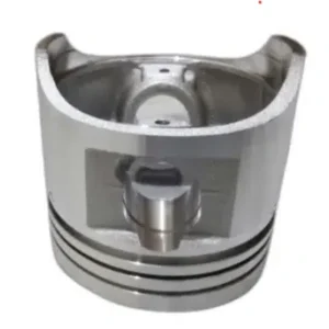 Piston Assembly Na020100 Tvs City 110 product image