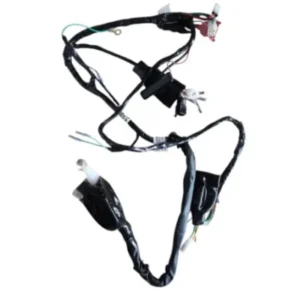 Wiring Harness Nd160790 Tvs Radeon 110 product image