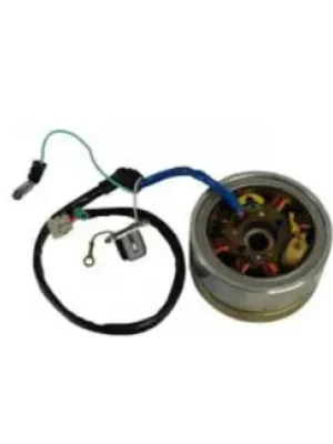 Magneto Assembly N289 Abs Nf060080 Tvs Apache Rtr 4v 160 product image