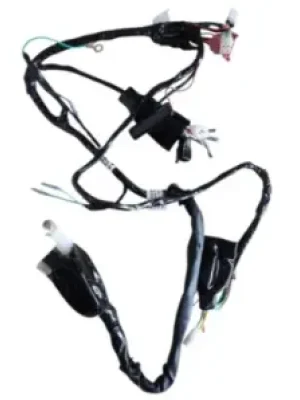Wiring Harness 2v Abs Nf160200 Tvs Ronin 225 product image