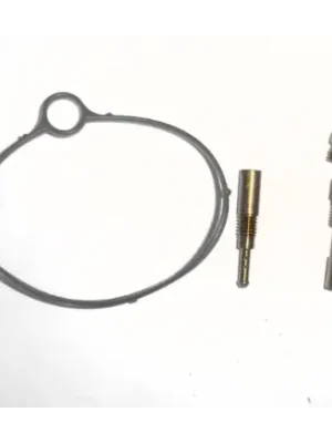 P1320860-400x400 Carburettor Kit Minor Xls Ne P1320860 Tvs Xl Super 75 product image
