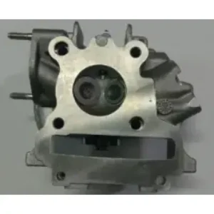 Cylinder Head Assembly P6010110 Tvs Xl 100 100 product image