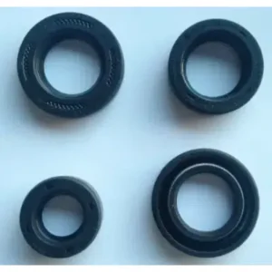 Kit Oilseal P6320120 Tvs Xl 100 100 product image