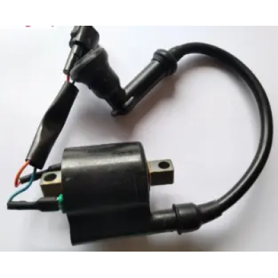 Ignition Coil P7060030 Tvs Xl 100 100 product image