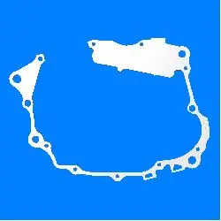 Karizma Crankcase Gasket