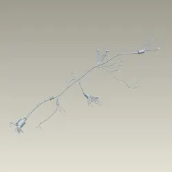 Wiring Harness for Old Kick Model