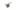 Pick up Coil For Bajaj Discover Es
