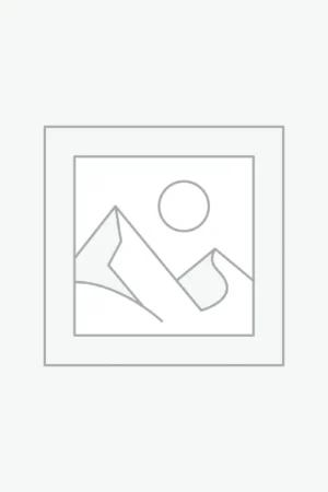 sticker Set Splendor Plus Bs6 E20 Blk grey